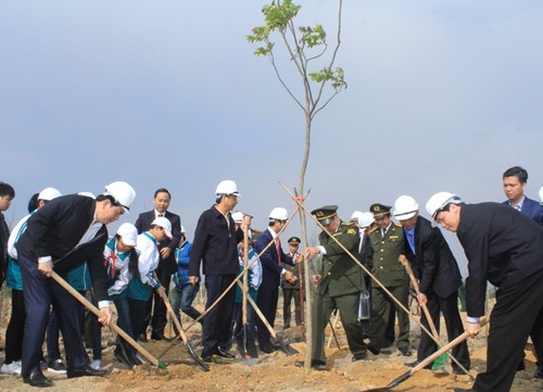 Президент Вьетнама Чан Дай Куанг развернул кампанию по посадке деревьев в связи с Тэтом - ảnh 1
